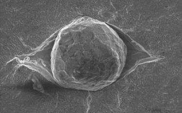 FA 21 Microstructure and mechanical properties